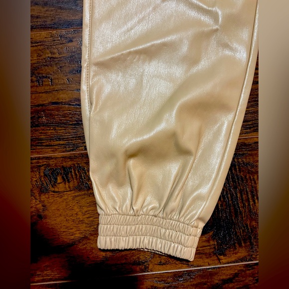 Aritzia Babaton faux leather joggers - Picture 3 of 5